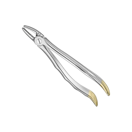 Extracting forceps, anat.